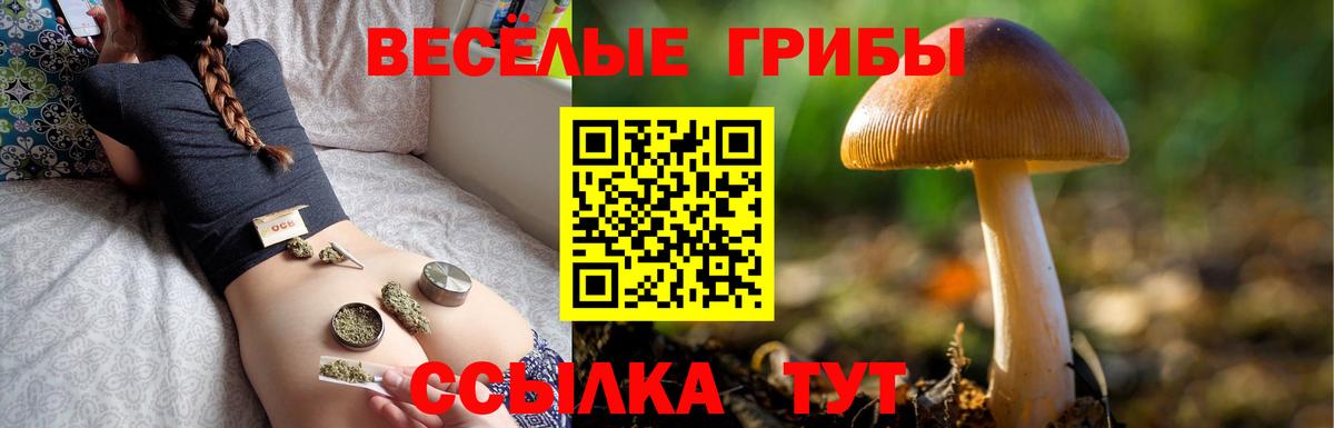 Галлюциногенные грибы Magic Shrooms Назарово